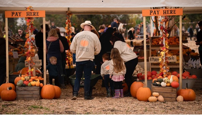 Rogate Pumpkin Patch